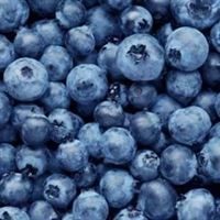 BLUEBERRIES