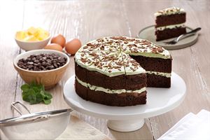 GF Mint Chocolate Cake